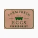 Farm Fresh Eggs