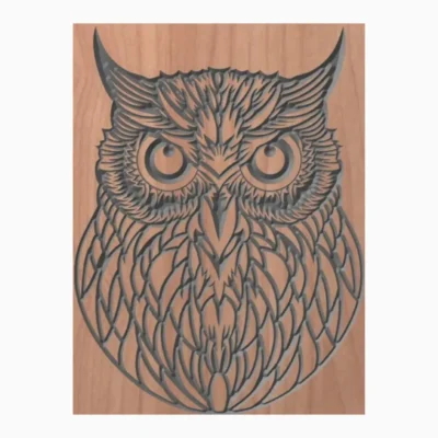Decorative Staring Owl