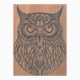Decorative Staring Owl